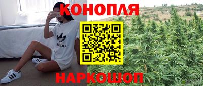 марихуана Аргун