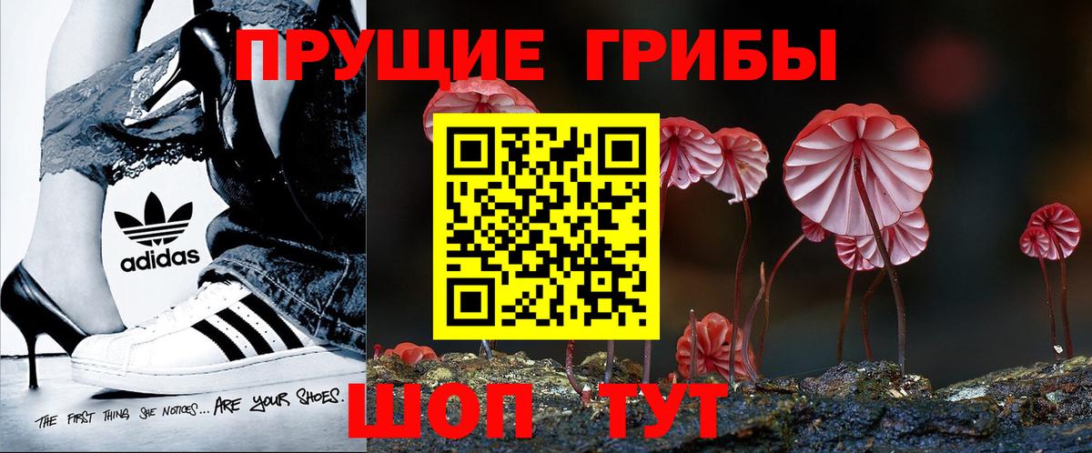 Артём  Галлюциногенные грибы GOLDEN TEACHER  Вход с VPN 